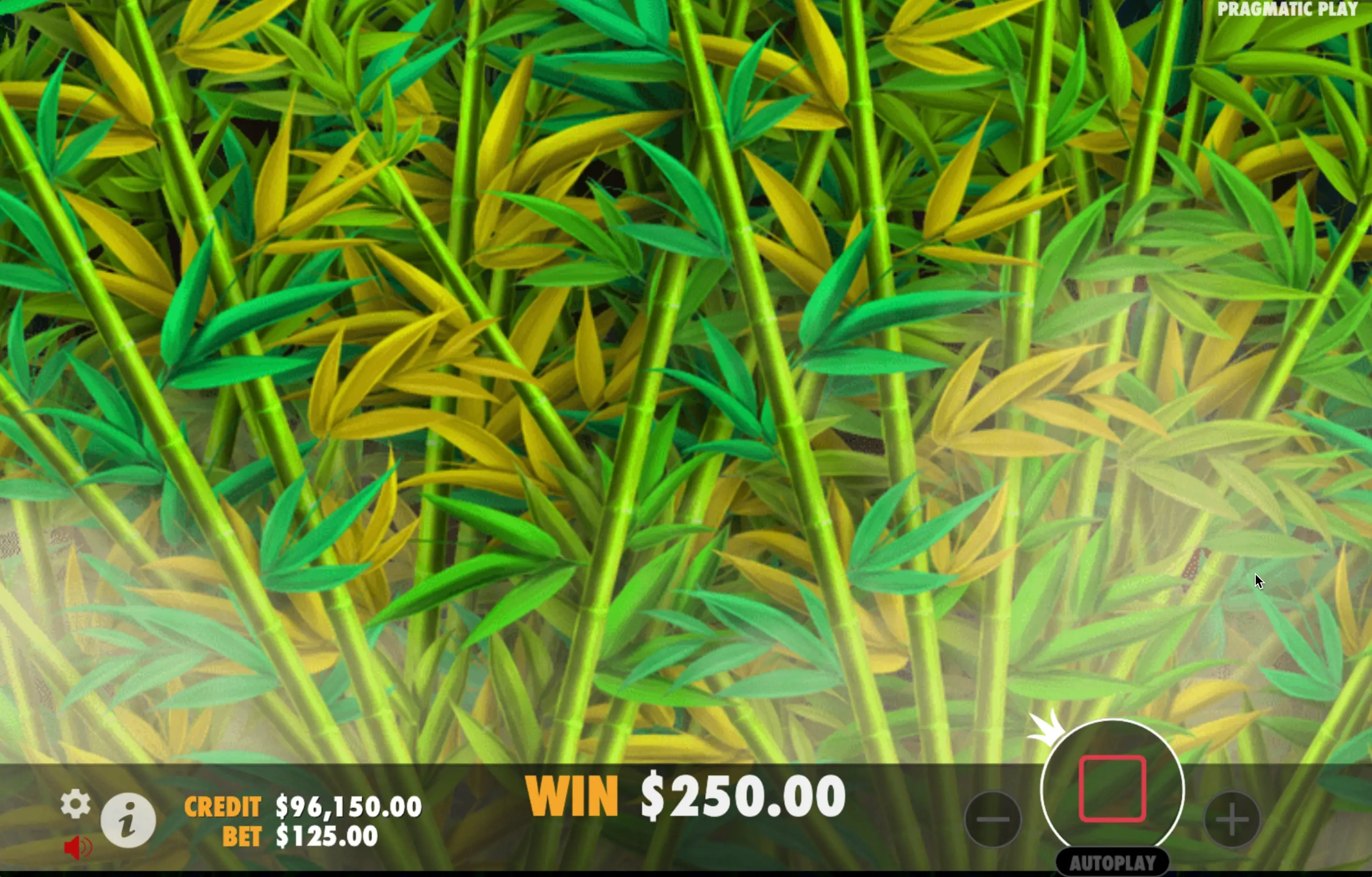 Panda's Fortune slot bets